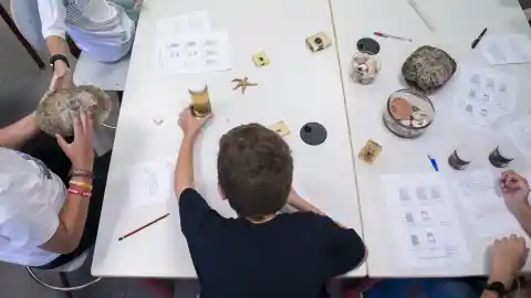 Imagen 1 de Multan a unos padres de Gondomar por educar a su hijo de nueve años en casa