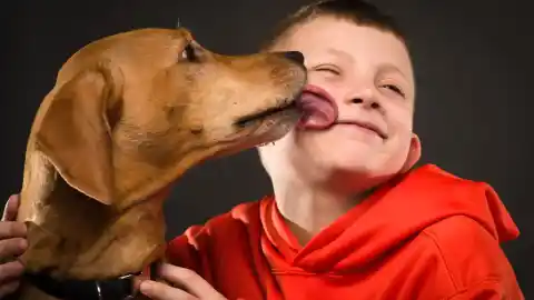 Imagen 1 de A FONDO | Cómo los animales ayudan a prevenir la violencia escolar