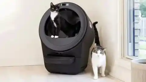 Imagen 1 de Cuidar a las mascotas con IA ya es posible gracias a este arenero inteligente para gatos que además se limpia solo