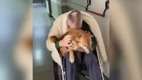 Imagen 1 de El emotivo reencuentro de un hombre y su perro tras pasar dos meses en el hospital: "El amor más puro"