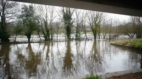 Imagen 1 de Inundaciones, árboles caídos... La borrasca Claudia deja casi 150 incidencias solo en Galicia