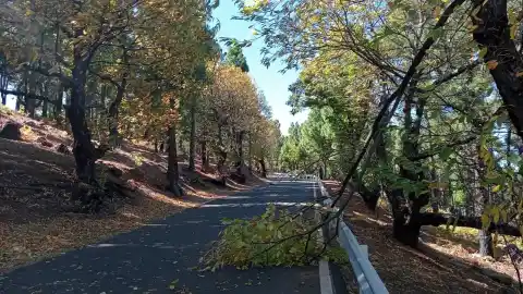 Imagen 1 de La borrasca Claudia deja más de 120 incidencias en Gran Canaria y obliga a cerrar seis carreteras
