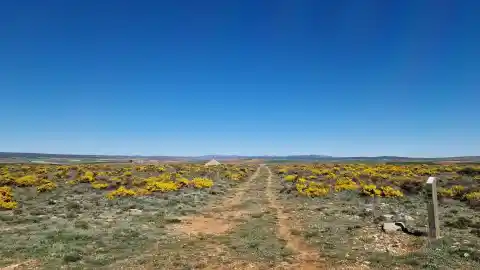 Imagen 1 de El Camino de los Tratantes, la ruta de senderismo entre Gualadajara y Teruel con casi 60 kilómetros