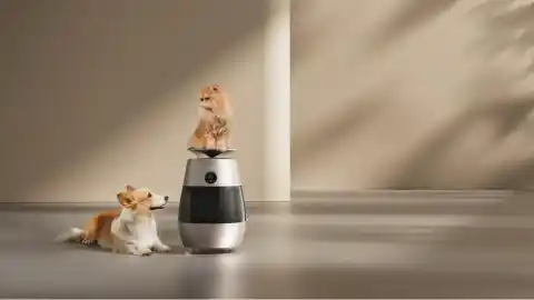 Imagen 1 de Dreame lanza tres nuevos dispositivos inteligentes para revolucionar la cocina y el salón y hacerte la vida más fácil