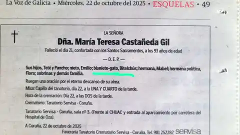 Imagen 1 de El obituario de una vecina de A Coruña que escondía a un curioso familiar: su "bisnieto-gato Bitelchús"