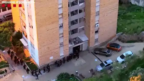 Imagen 1 de Cinco detenidos en Gavà por cuatro plantaciones de marihuana en el mismo bloque de pisos