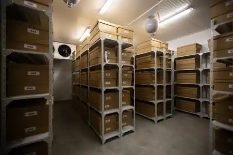 Imagen 1 de El viaje secreto de uno de los tesoros de Ucrania: su banco de semillas