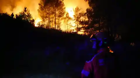 Imagen 1 de El Gobierno empieza a pagar las ayudas a agricultores y ganaderos gallegos afectados por los incendios