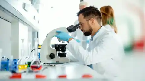 Imagen 1 de Un estudio europeo identifica tres nuevos casos de la porfiria más rara, el primero en una niña