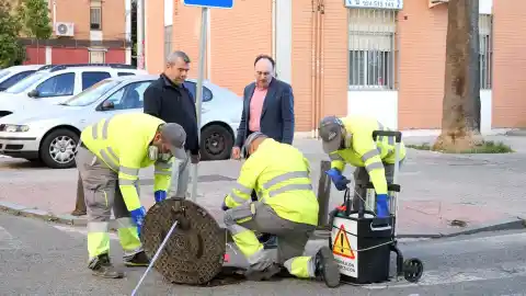 Imagen 1 de El Ayuntamiento de Sevilla destina 200.000 euros más para reforzar el plan de desratización