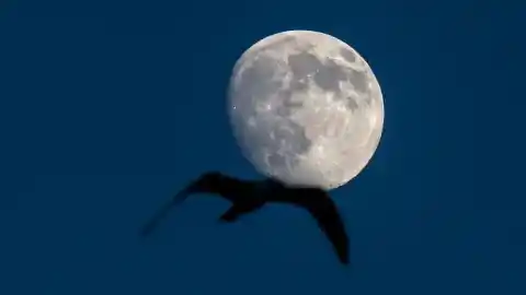 Imagen 1 de Ya está aquí la última superluna de 2025, ¿sabes por qué es excepcional?