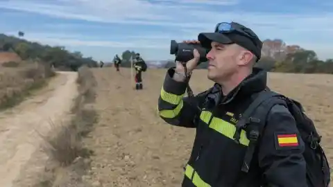 Imagen 1 de Europa amplía el perímetro de zona infectada por la peste porcina a 91 municipios catalanes