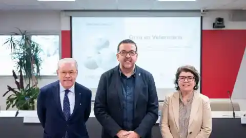 Imagen 1 de La UVic-UCC impulsará una Facultad de Veterinaria para responder al déficit de profesionales en Catalunya