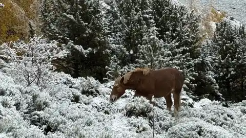 Imagen 1 de El frío polar congela Catalunya: temperaturas bajo cero, previsión de nevadas en cotas bajas y fuerte viento