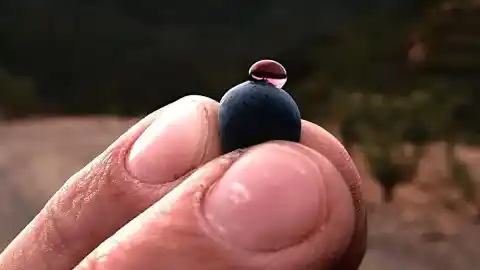 Imagen 1 de ¿Cuáles son los mejores vinos de Catalunya para regalar estas fiestas según 'Forbes'?