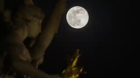 Imagen 1 de La superluna del 5 de noviembre, en imágenes