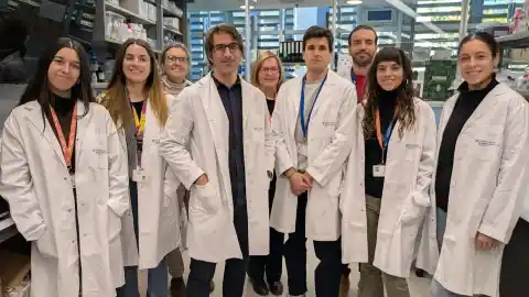 Imagen 1 de Un estudio identifica por qué el cáncer de mama más habitual no responde a la inmunoterapia