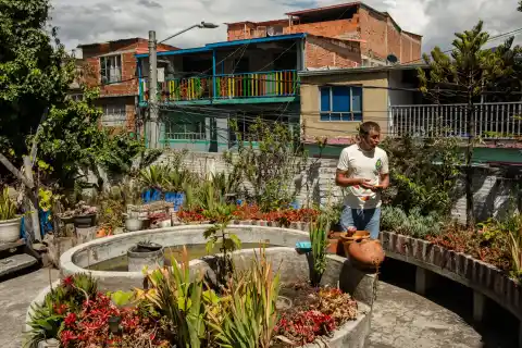 Imagen 1 de Un jardín con 600 especies de plantas para resignificar la periferia estigmatizada de Bogotá