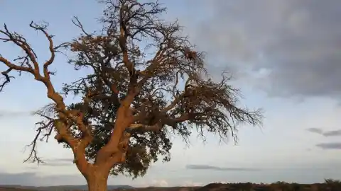 Imagen 1 de Reto visual: ¿Eres capaz de ver la luna en menos de 30 segundos?