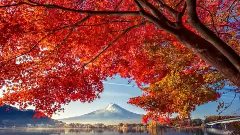 Imagen 1 de Cinco consejos que te aseguran ver el monte Fuji en tu viaje a Japón