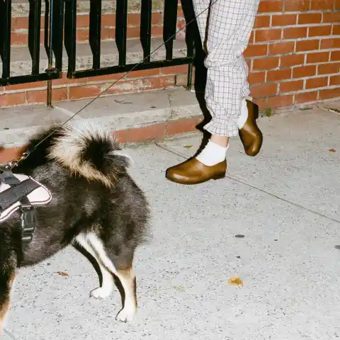 Imagen 1 de El zueco de jardinero, la pizca de feísmo que necesitamos este otoño