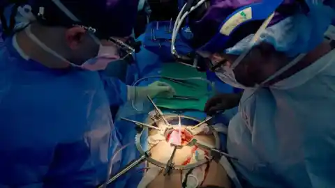 Imagen 1 de Médicos de EE.UU. resuelven el rechazo inmune al trasplante de un riñón de cerdo