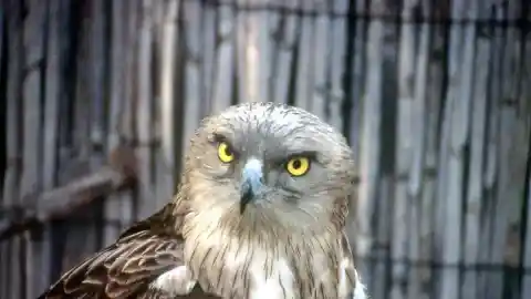 Imagen 1 de Educación ambiental para salvar a la naturaleza