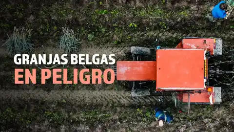 Imagen 1 de Vídeo | Las granjas de Bélgica están en peligro