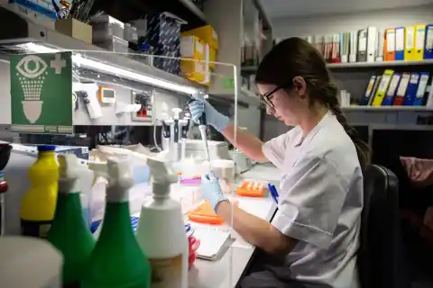 Imagen 1 de Los ‘misiles teledirigidos’ a las células tumorales abren una nueva autopista para plantar cara al cáncer