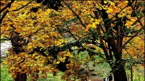 Imagen 1 de España, última clasificada en un ranking mundial de conexión con la Naturaleza