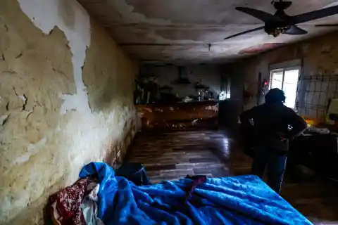 Imagen 1 de Una mujer encerrada con 52 perros: La sórdida historia detrás de la última operación del Seprona