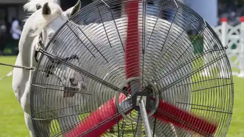 Imagen 1 de Sigue la trágica tendencia: 2025 será el segundo o tercer año más cálido jamás registrado