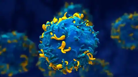 Imagen 1 de Una terapia CAR-T creada en España salva a niños con leucemia