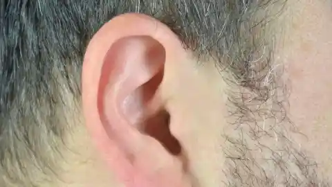 Imagen 1 de Identifican los mecanismos que provocan la pérdida de equilibrio en el oído interno