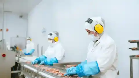 Imagen 1 de Vall Companys compra el matadero de Campofrío en Burgos