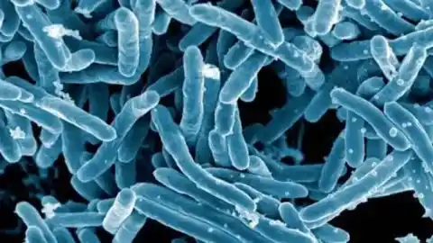 Imagen 1 de Los diagnósticos mundiales de tuberculosis alcanzan un nuevo récord