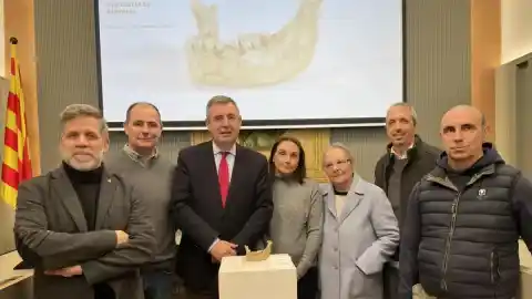 Imagen 1 de La mandíbula de Banyoles, uno de los fósiles más importantes de Europa, se queda en casa