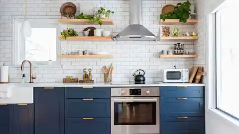 Imagen 1 de Evita que las hormigas invadan tu cocina o cajones con estas trampas de Amazon