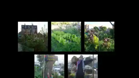 Imagen 1 de El huerto Utopía del barrio de Vallecas