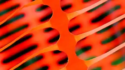 Imagen 1 de La texturización social en el siglo XXI