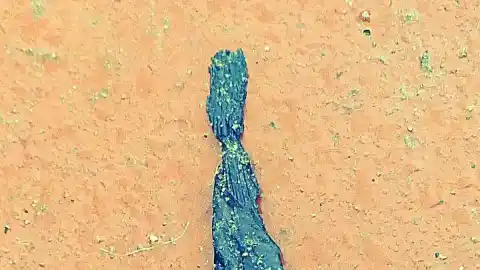 Imagen 1 de La fuerza de las mujeres a través de la moda