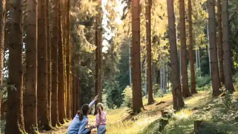 Imagen 1 de Seis aventuras naturales para padres con espíritu viajero