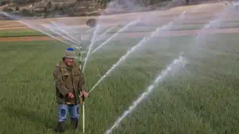 Imagen 1 de Unos 1.700 millones de personas sufren el recorte de cultivos por el estado del suelo