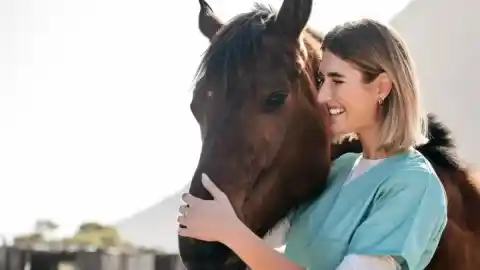 Imagen 1 de ¿Qué estudiar para trabajar con animales (2025)? FP, cursos y salidas laborales