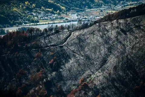 Imagen 1 de El chapapote de monte ya está aquí: las cenizas de los incendios de Ourense contaminan el agua