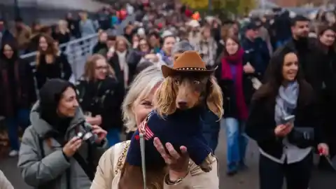 Imagen 1 de Drones en Corea del Sur, manifestacion en Ciudad de México y más imágenes del día