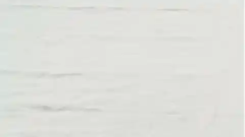 Imagen 1 de Saborea el bonito de temporada en una tostada con alubias rojas