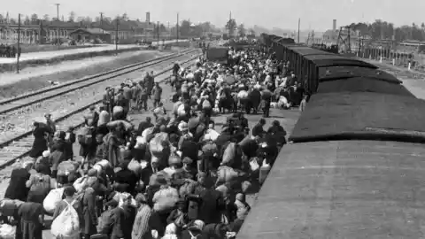 Imagen 1 de La presión de Polonia logra la cancelación en Alemania de una subasta de documentos nazis