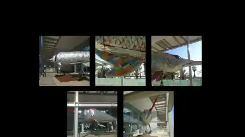 Imagen 1 de El pez gigante de la Barceloneta