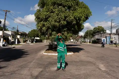 Imagen 1 de Belém, una ciudad horno que sufre inundaciones periódicas y perdió árboles para recibir la COP30